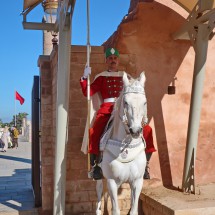 Guard on the entrance of the area of the Mausoleum of Mohammed V